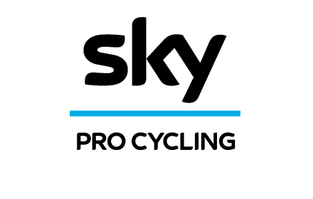 team_sky-landing_logo